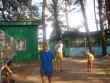 pilka-siatkowa-2.jpg