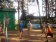pilka-siatkowa.jpg
